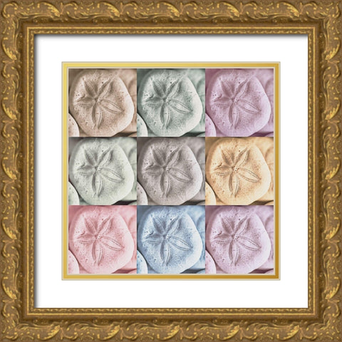 Harbor Sand Dollars Gold Ornate Wood Framed Art Print with Double Matting by Amos, Andy