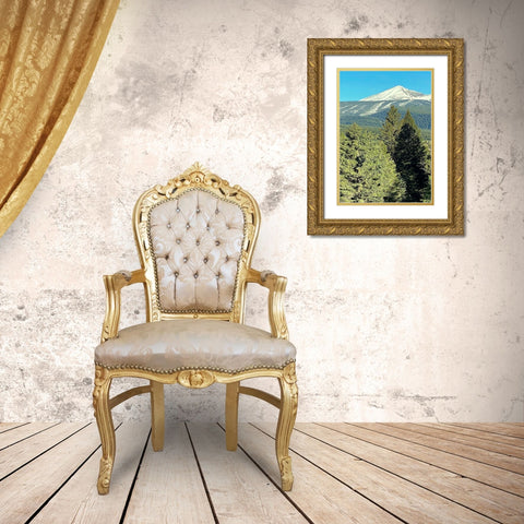 A 3D View Gold Ornate Wood Framed Art Print with Double Matting by Coppel, Anna