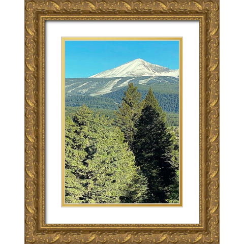 A 3D View Gold Ornate Wood Framed Art Print with Double Matting by Coppel, Anna