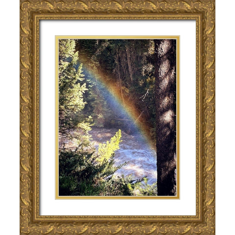 Stream and Rainbow Collide Gold Ornate Wood Framed Art Print with Double Matting by Coppel, Anna