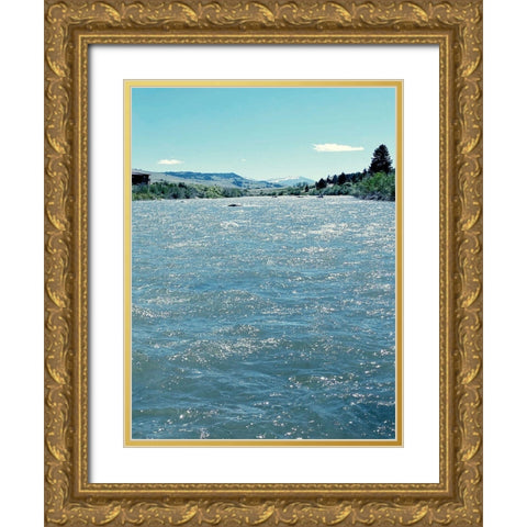 Natures Beauty Gold Ornate Wood Framed Art Print with Double Matting by Coppel, Anna
