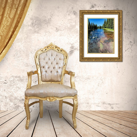 Peaceful Stream Gold Ornate Wood Framed Art Print with Double Matting by Coppel, Anna