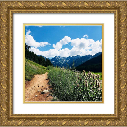 Lovely Path Gold Ornate Wood Framed Art Print with Double Matting by Coppel, Anna