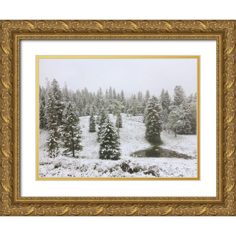 Dusting of Snow Gold Ornate Wood Framed Art Print with Double Matting by Coppel, Anna