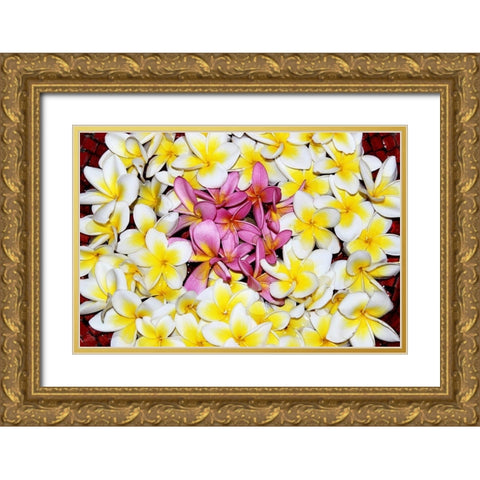 Floating Petals Gold Ornate Wood Framed Art Print with Double Matting by Coppel, Anna