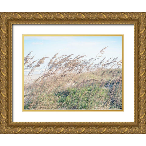 Eastern Beach Grass I Gold Ornate Wood Framed Art Print with Double Matting by Bonnett, Stede