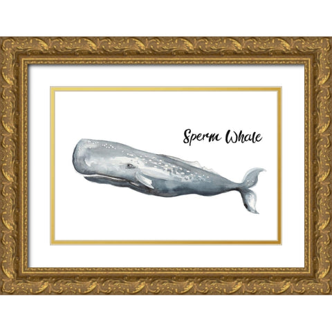 Sperm Whale Gold Ornate Wood Framed Art Print with Double Matting by Pinto, Patricia