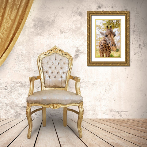 Curious Giraffe Gold Ornate Wood Framed Art Print with Double Matting by Mansfield, Kathy