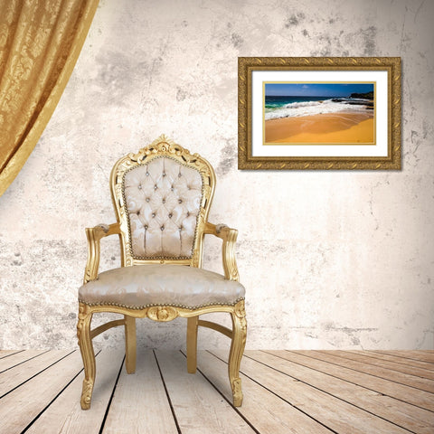 Oahu Shore Waves Gold Ornate Wood Framed Art Print with Double Matting by Bill Carson Photography