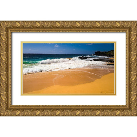Oahu Shore Waves Gold Ornate Wood Framed Art Print with Double Matting by Bill Carson Photography