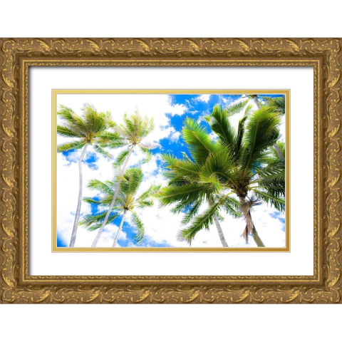 Hawaii Oahu Palms Gold Ornate Wood Framed Art Print with Double Matting by Bill Carson Photography