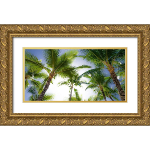 Oahu Palms Gold Ornate Wood Framed Art Print with Double Matting by Bill Carson Photography