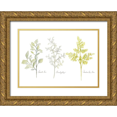 Named Ferns I Gold Ornate Wood Framed Art Print with Double Matting by Gaynor, Janice