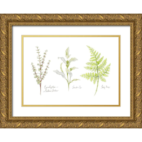 Named Ferns II Gold Ornate Wood Framed Art Print with Double Matting by Gaynor, Janice