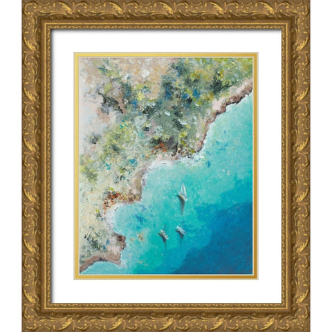 Playa Escondida from Above Gold Ornate Wood Framed Art Print with Double Matting by Pinto, Patricia
