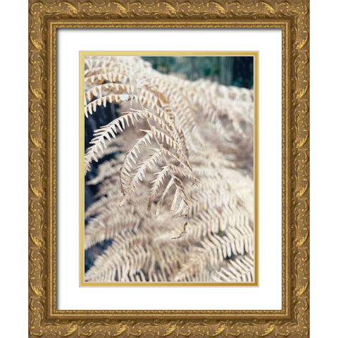 Cream Fern Gold Ornate Wood Framed Art Print with Double Matting by Jane, Sarah