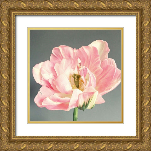 Pink Bloom Gold Ornate Wood Framed Art Print with Double Matting by Jane, Sarah