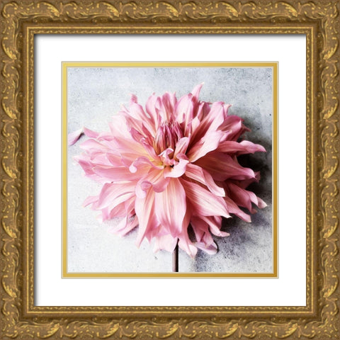 Freshly Picked from the Garden Gold Ornate Wood Framed Art Print with Double Matting by Jane, Sarah