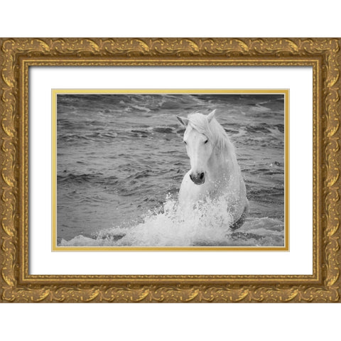 Coastal Horse Gold Ornate Wood Framed Art Print with Double Matting by Walker, Carol