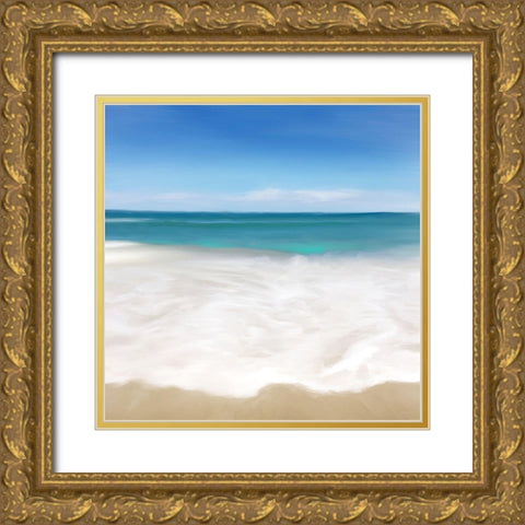 Shore Break II Gold Ornate Wood Framed Art Print with Double Matting by Meneely, Dan