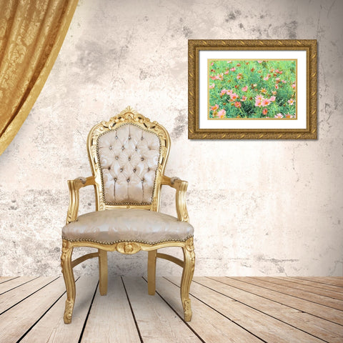 Daisy Field II Gold Ornate Wood Framed Art Print with Double Matting by Navas, Emily