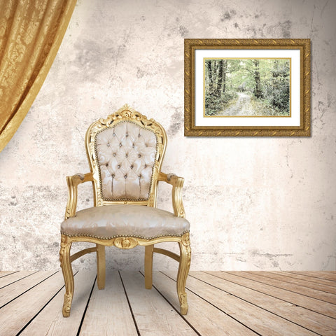 Dappled Path Gold Ornate Wood Framed Art Print with Double Matting by Mansfield, Kathy