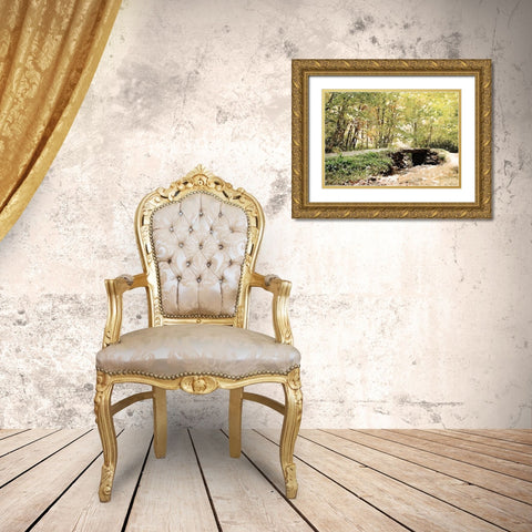 Dappled Stream Gold Ornate Wood Framed Art Print with Double Matting by Mansfield, Kathy