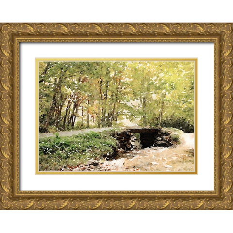 Dappled Stream Gold Ornate Wood Framed Art Print with Double Matting by Mansfield, Kathy