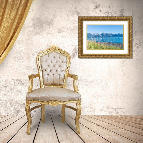Alaskan Shorelines Gold Ornate Wood Framed Art Print with Double Matting by Wilson, Kali