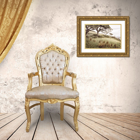 Irish Hillside Gold Ornate Wood Framed Art Print with Double Matting by Amos, Andy