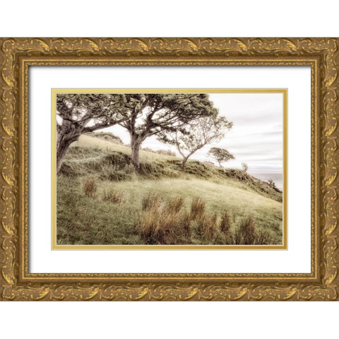 Irish Hillside Gold Ornate Wood Framed Art Print with Double Matting by Amos, Andy