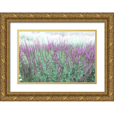 Lavender Garden Gold Ornate Wood Framed Art Print with Double Matting by Meneely, Dan