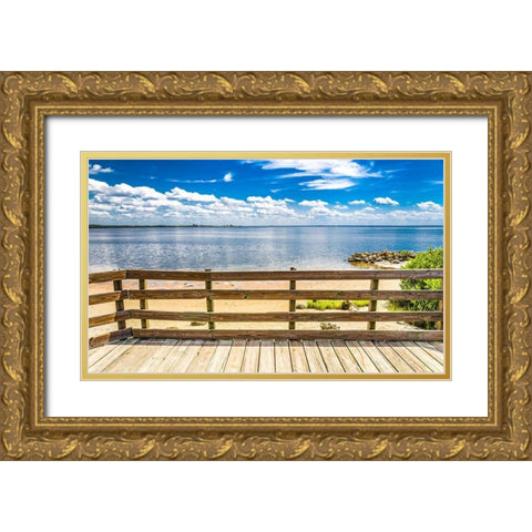 Ocean Overlook Gold Ornate Wood Framed Art Print with Double Matting by Bill Carson Photography