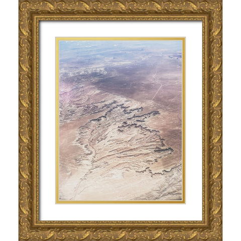 Birds View I Gold Ornate Wood Framed Art Print with Double Matting by Myers, Amelia