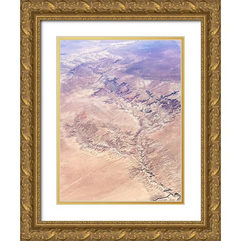 Birds View II Gold Ornate Wood Framed Art Print with Double Matting by Myers, Amelia