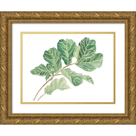 Fiddle Fig Leaf I Gold Ornate Wood Framed Art Print with Double Matting by Pinto, Patricia