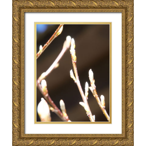 Into Nature II Gold Ornate Wood Framed Art Print with Double Matting by Hyler, JB
