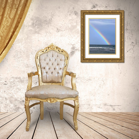 Rainbow Meets Horizon Gold Ornate Wood Framed Art Print with Double Matting by Hyler, JB