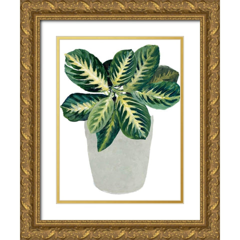 Prayer Plant II Gold Ornate Wood Framed Art Print with Double Matting by Loreth, Lanie