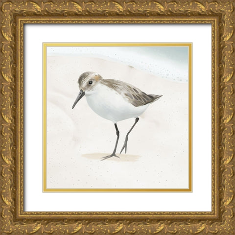 Sandpiper on the Beach II Gold Ornate Wood Framed Art Print with Double Matting by Sheppard, Lucca