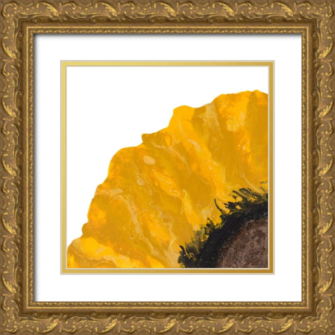 Yellow Petal Gold Ornate Wood Framed Art Print with Double Matting by Grace, Ajoya