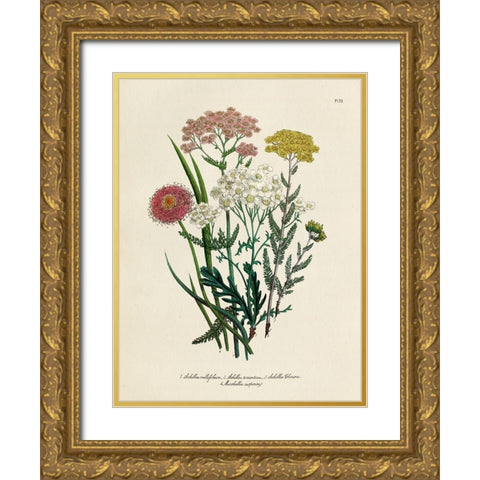 Vintage Flowers II Gold Ornate Wood Framed Art Print with Double Matting by Piddix