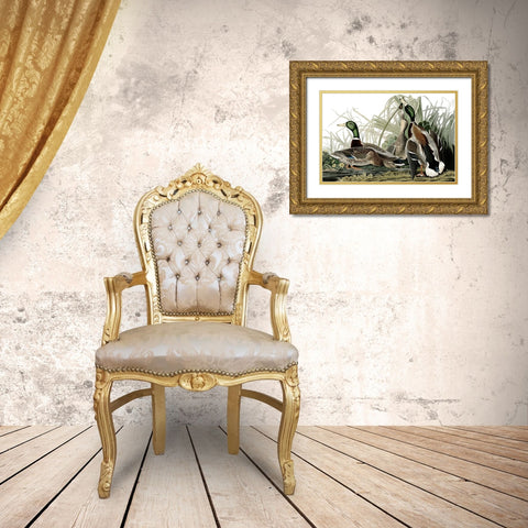 Duck Days Gold Ornate Wood Framed Art Print with Double Matting by Piddix