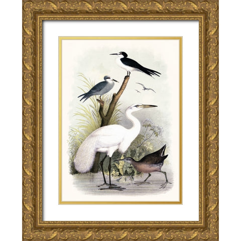 Little Egret and Friends Gold Ornate Wood Framed Art Print with Double Matting by Piddix