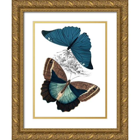 Butterfly Study II Gold Ornate Wood Framed Art Print with Double Matting by Piddix