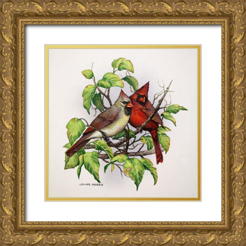 Cardinals Gold Ornate Wood Framed Art Print with Double Matting by Harris, James