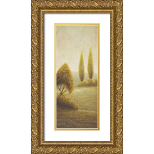 Perspective Image