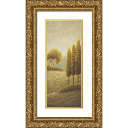 Perspective Image