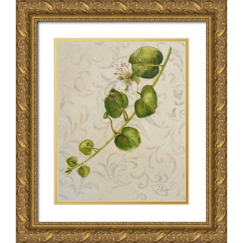 Botanica I Gold Ornate Wood Framed Art Print with Double Matting by Pinto, Patricia