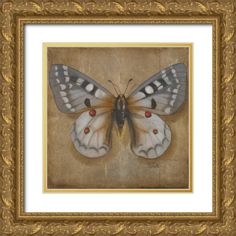 Butterfly II Gold Ornate Wood Framed Art Print with Double Matting by Pinto, Patricia